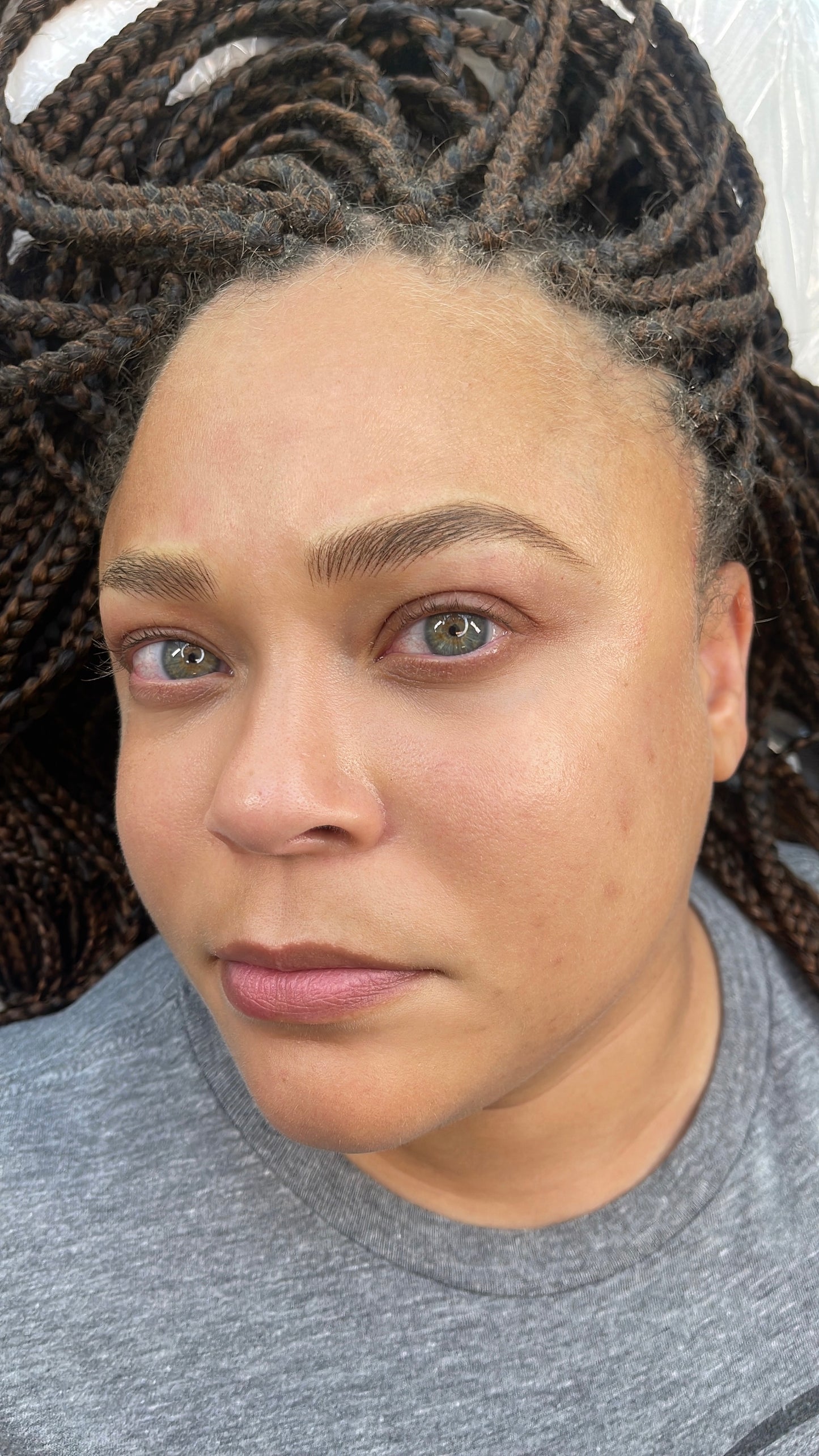 3D Brows -Nano Hairstroke Online Course