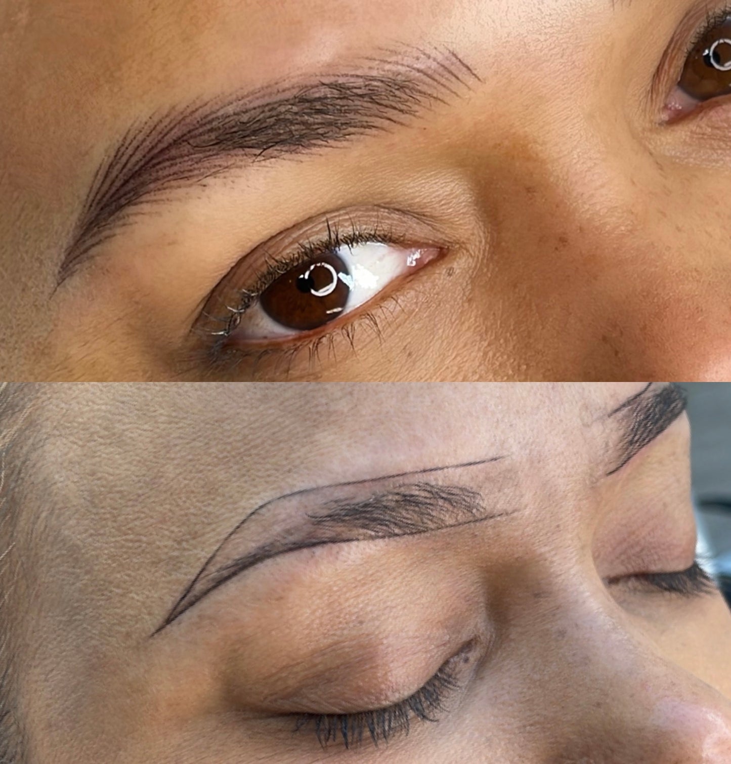 3D Brows -Nano Hairstroke Online Course