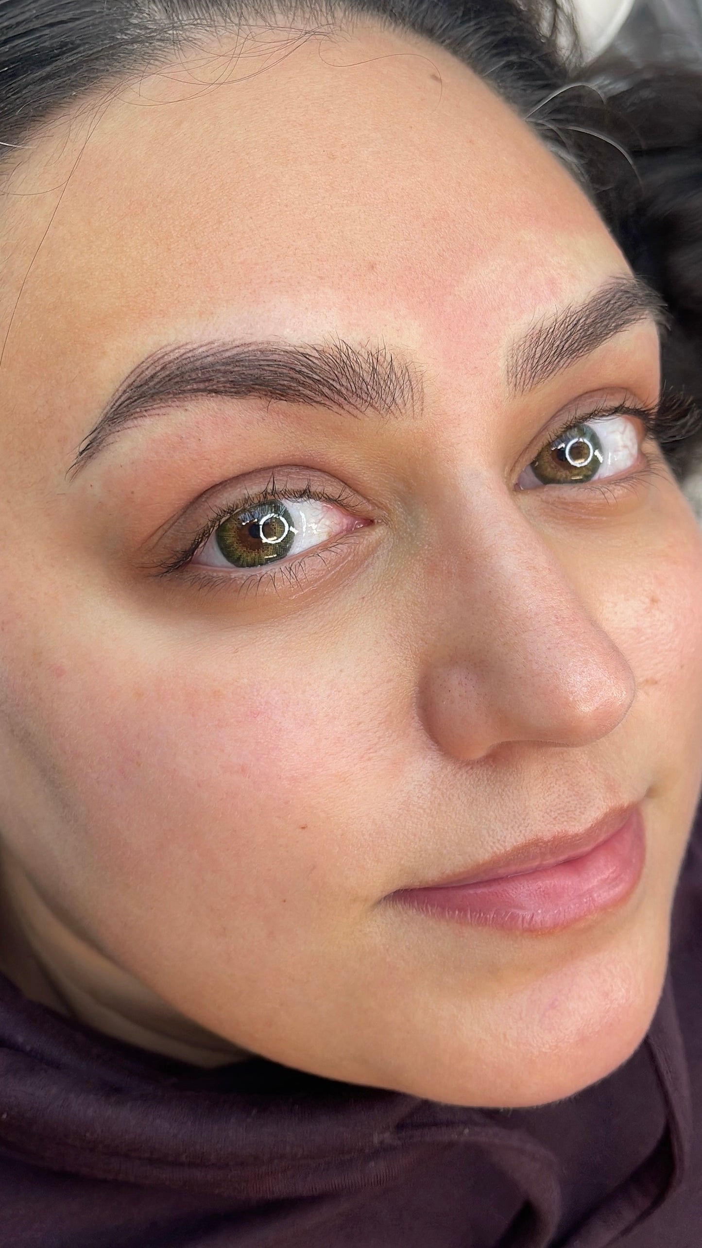 3D Brows -Nano Hairstroke Online Course