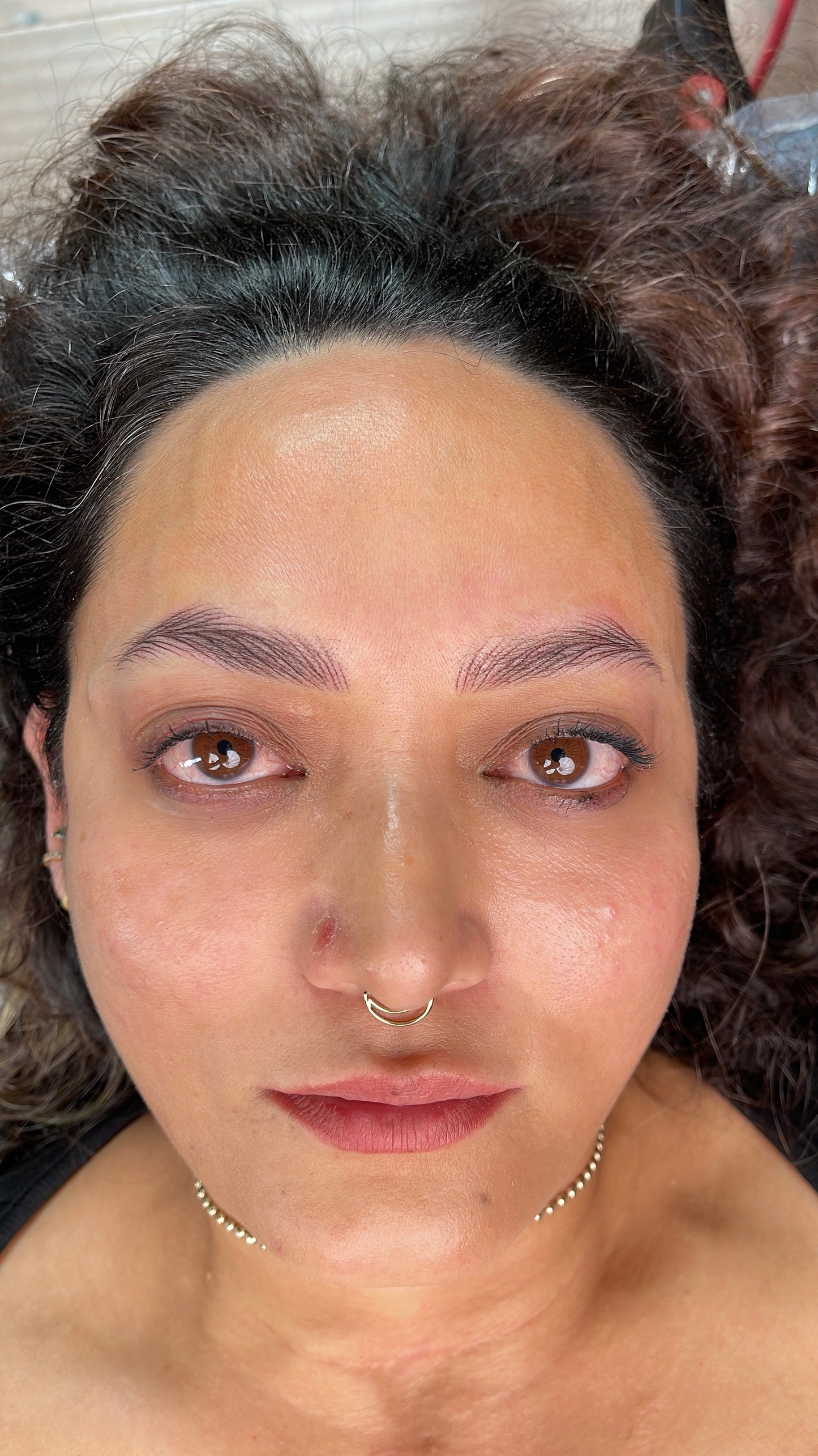 3D Brows -Nano Hairstroke Online Course