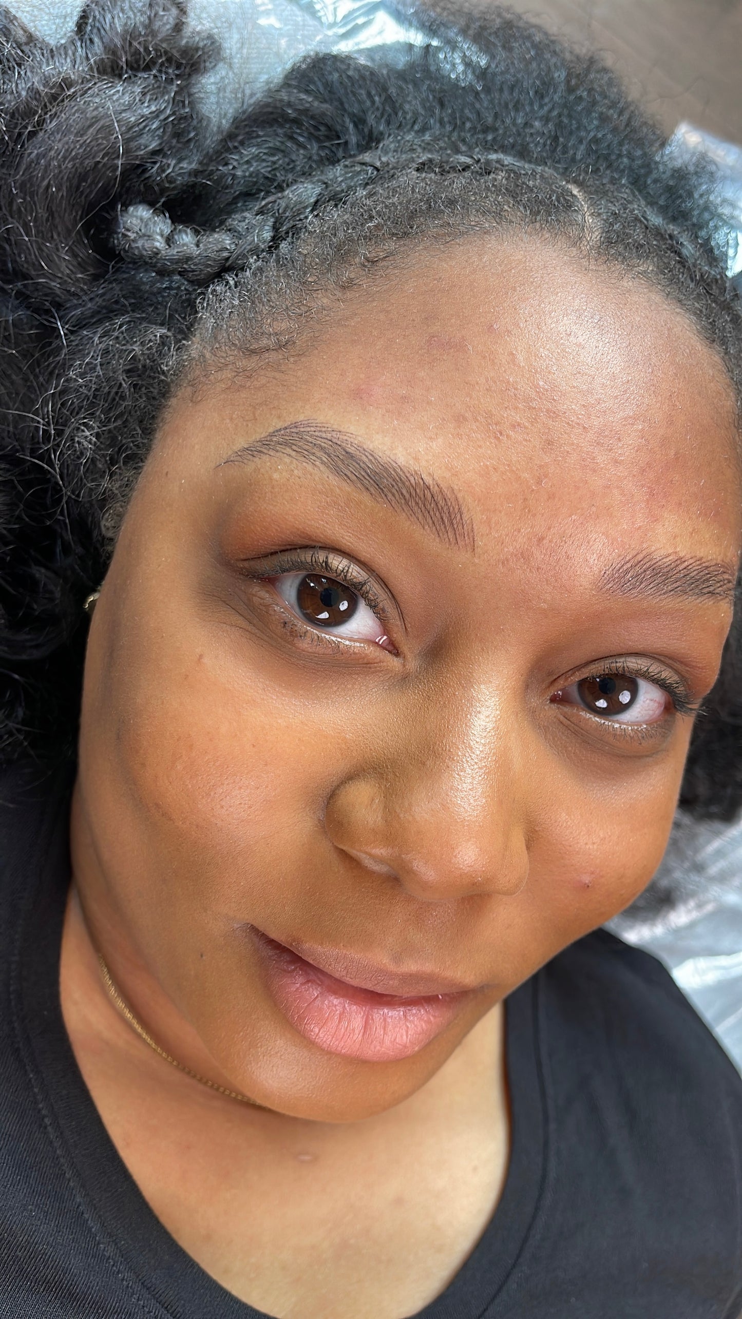 3D Brows -Nano Hairstroke Online Course