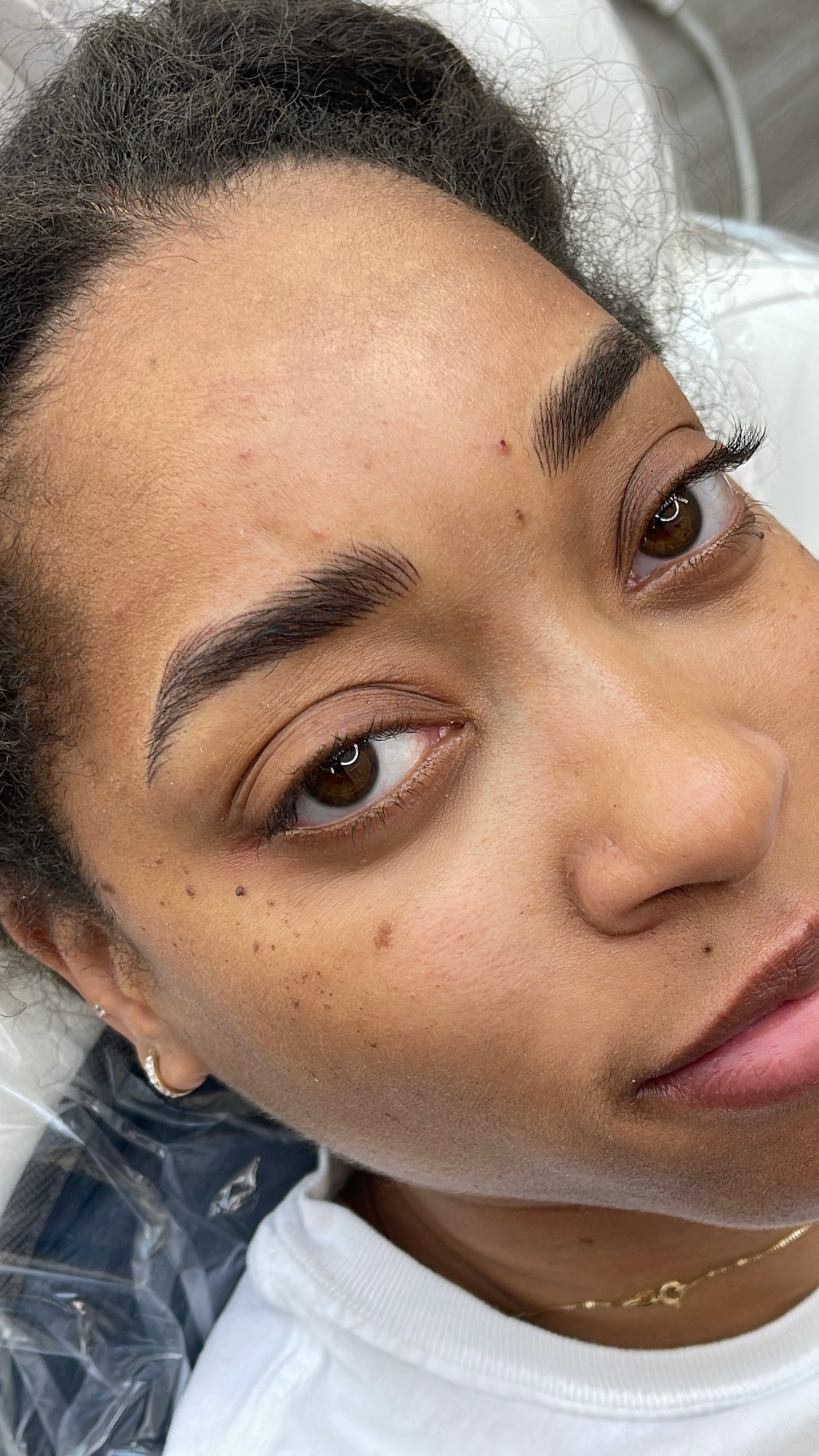 3D Brows -Nano Hairstroke Online Course
