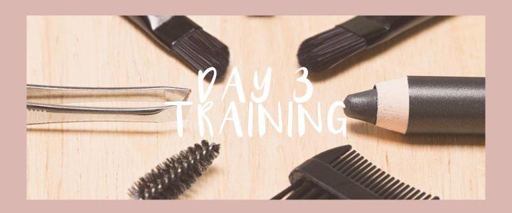 1:1 Nano Combo 3 Day Training $3,000