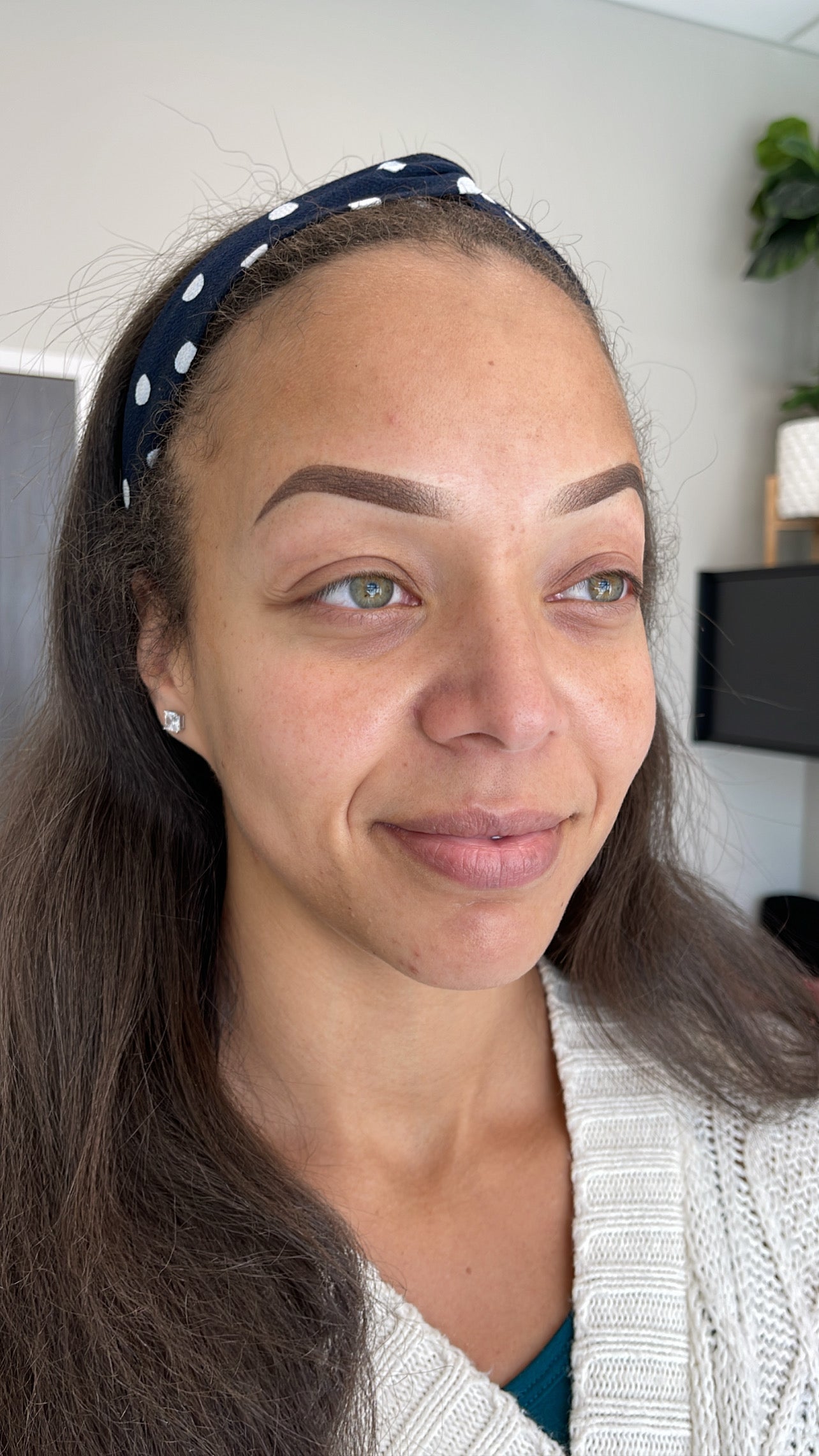 Ombré Powder Brows (Virgin Brows)