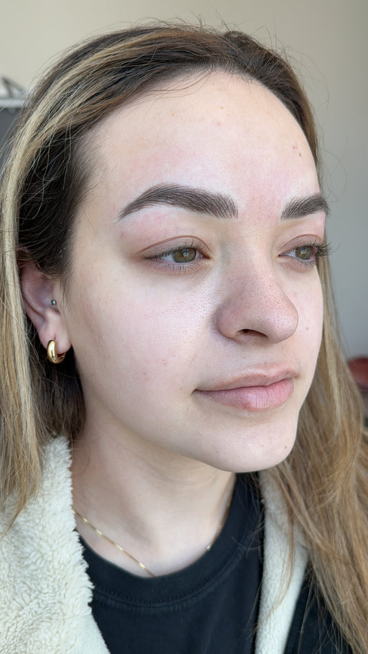 1:1 3D Brow 1 Day In Person Training $1,900