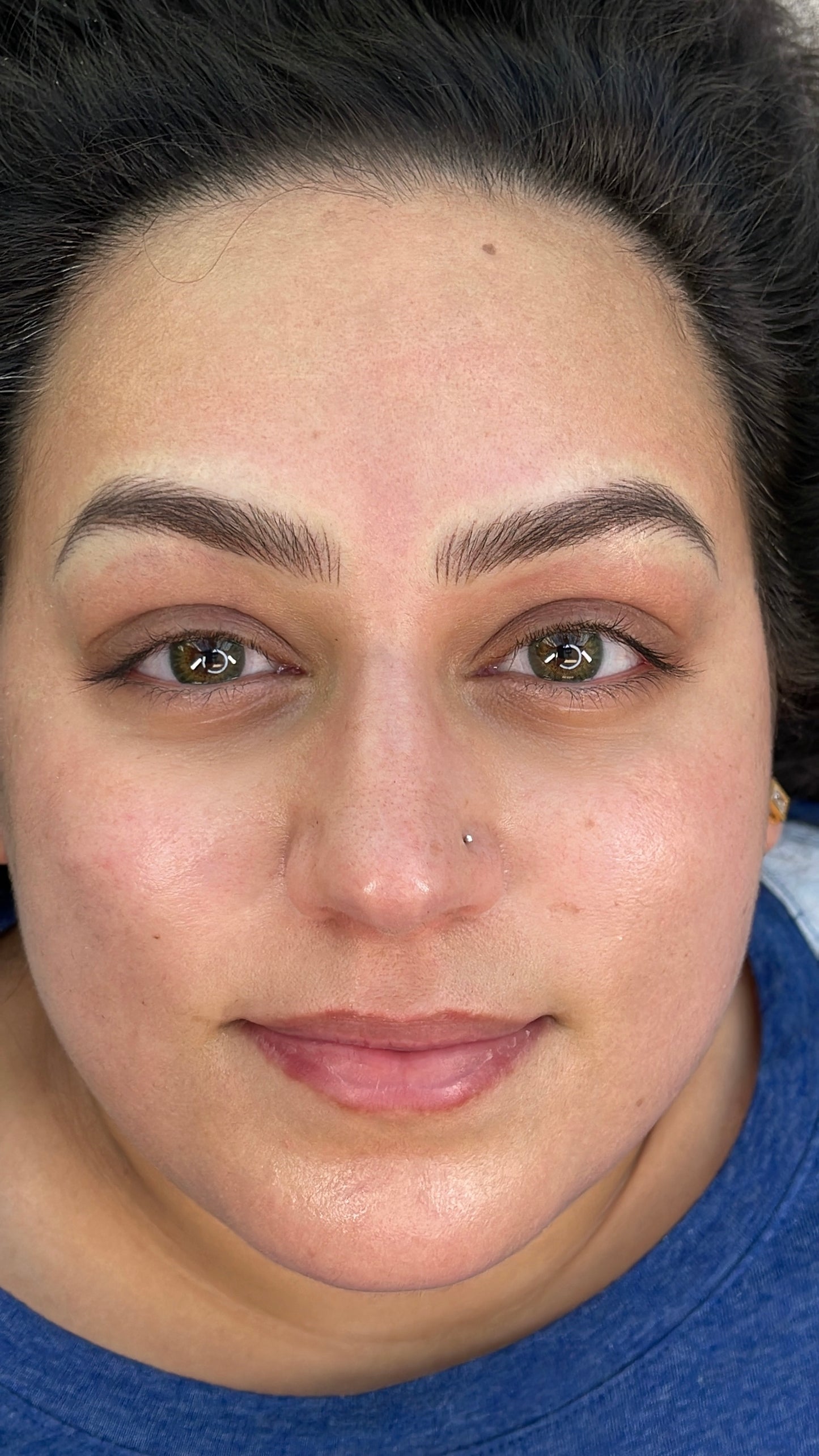 3D Brows -Nano Hairstroke Online Course
